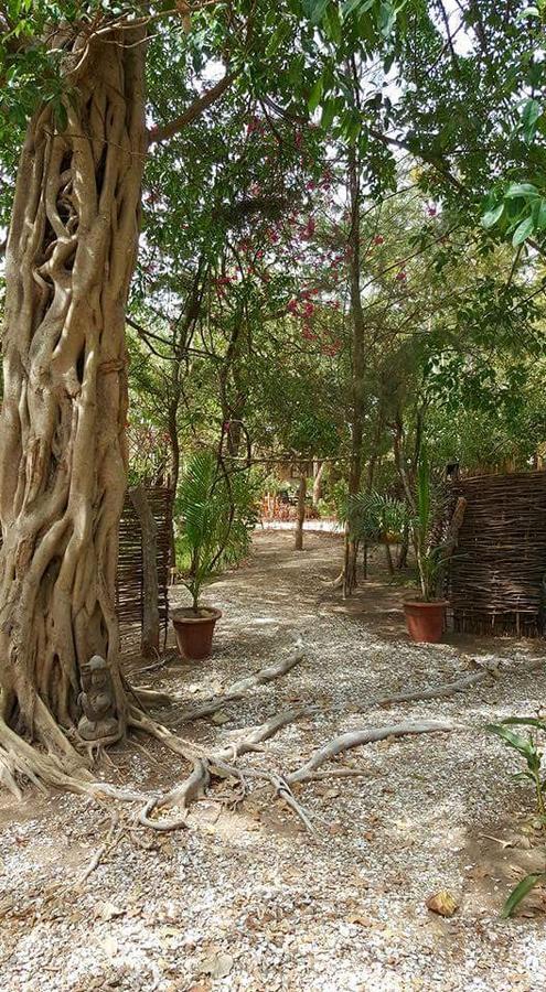 Evergreen Eco Lodge Retreat Tujereng Εξωτερικό φωτογραφία